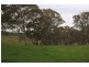 Lot 2 Nyoka Road, Macclesfield SA 5153