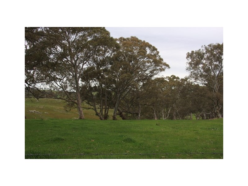 Lot 2 Nyoka Road, Macclesfield SA 5153
