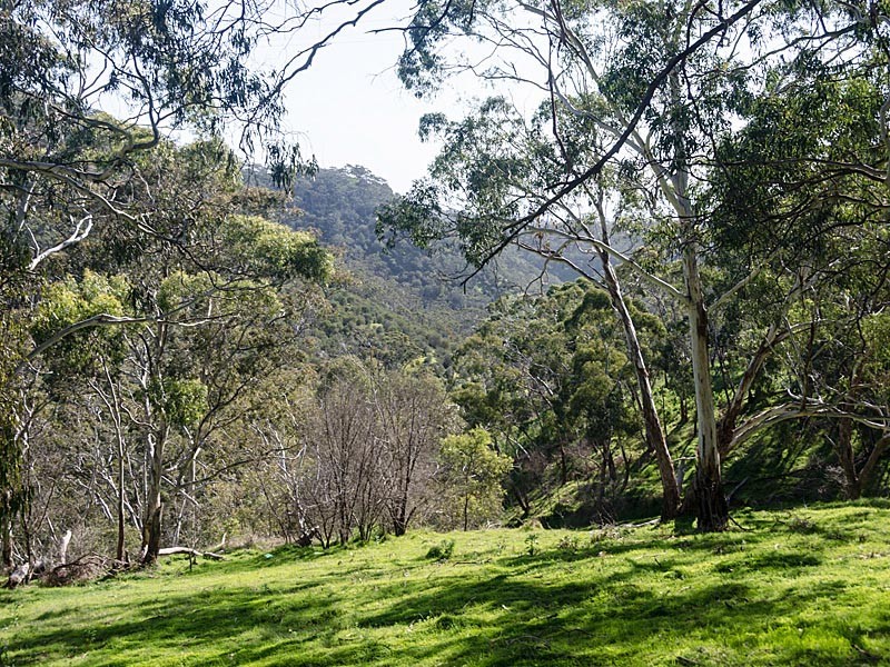 299 Charlick Road, Crafers West SA 5152