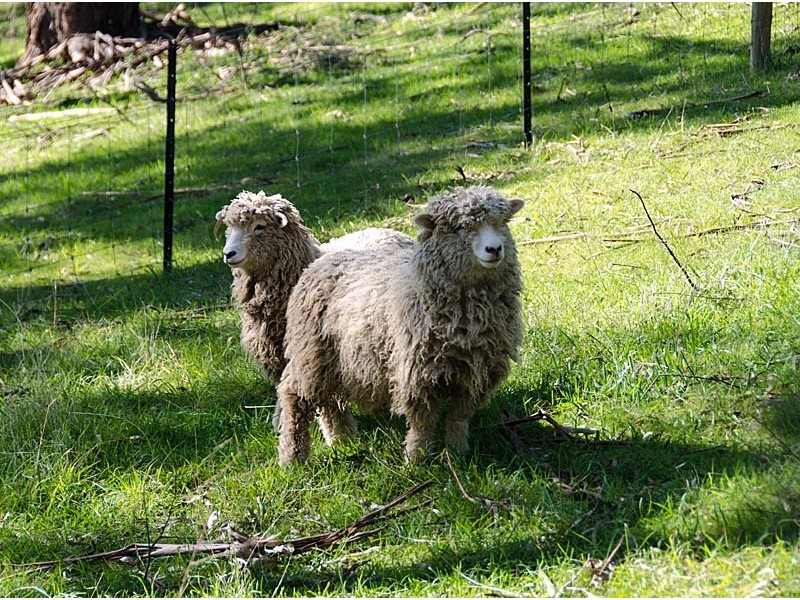 299 Charlick Road, Crafers West SA 5152