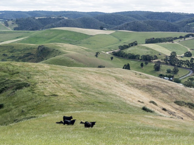 659 Adelaide-Goolwa Road, Bull Creek SA 5157