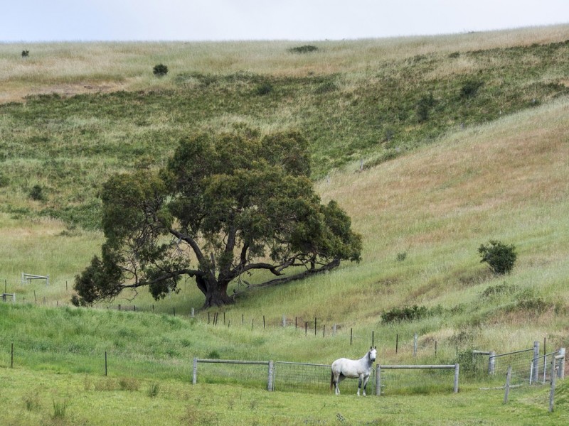 659 Adelaide-Goolwa Road, Bull Creek SA 5157