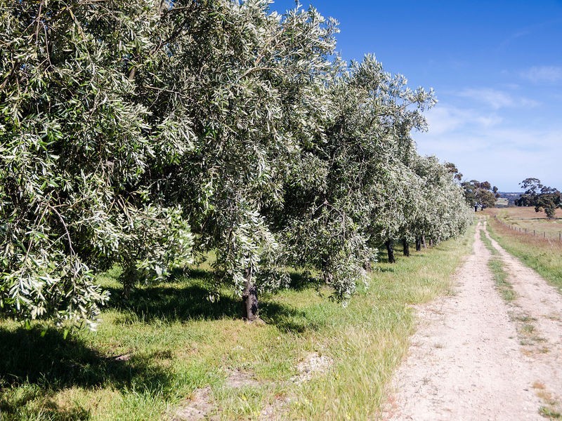 957 Signal Flat Road, Strathalbyn SA 5255