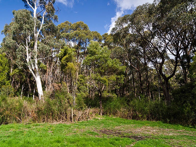 Sec 374 Mount George Road, Mount George SA 5155