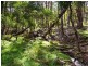 Sec 374 Mount George Road, Mount George SA 5155