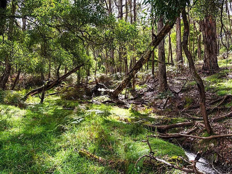 Sec 374 Mount George Road, Mount George SA 5155