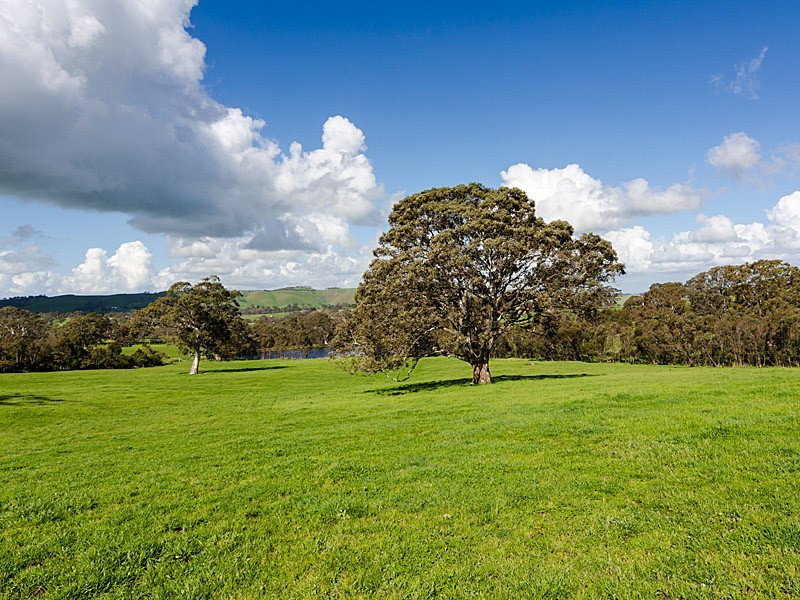 463 Gladigau Road, Harrogate SA 5244