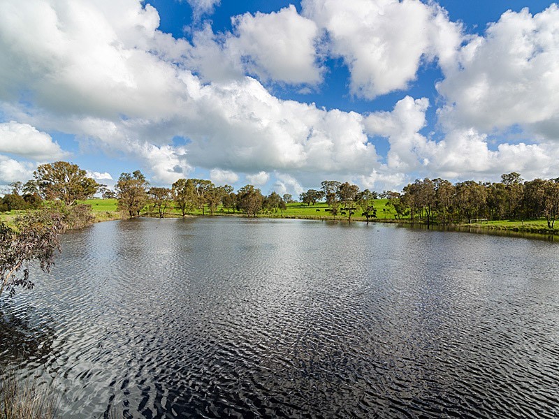 463 Gladigau Road, Harrogate SA 5244