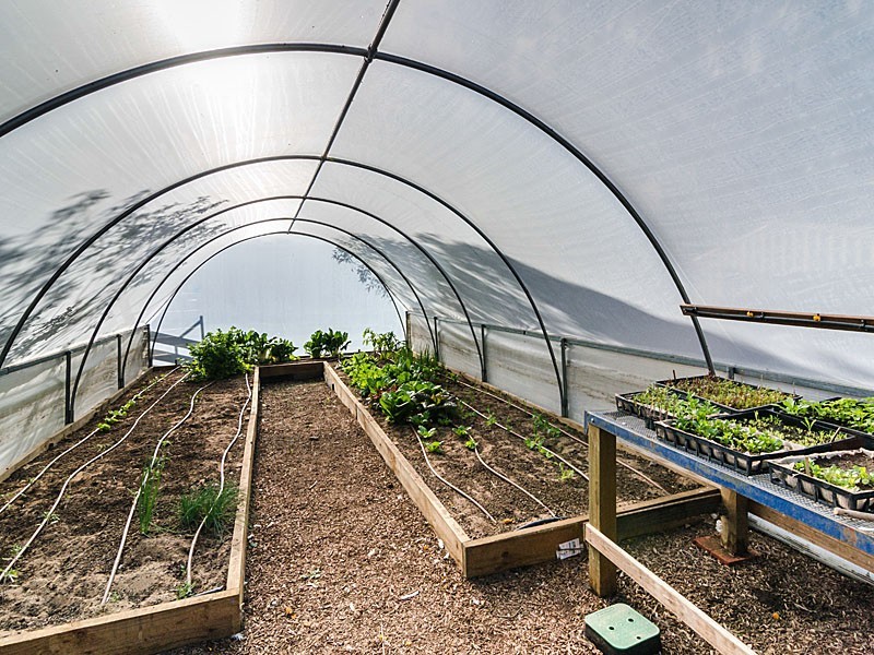 463 Gladigau Road, Harrogate SA 5244