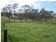 Lot 12 Paech Road, Mount Barker SA 5251