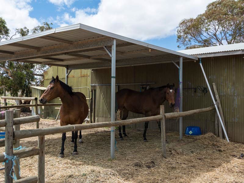 254 Garwood Road, Monarto South SA 5254