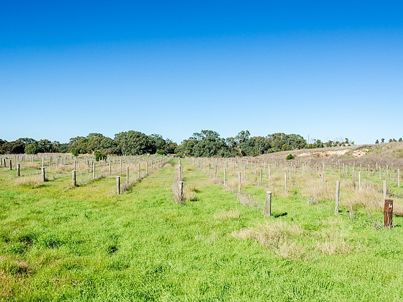 62 Chaunceys Line Rd, Strathalbyn SA 5255