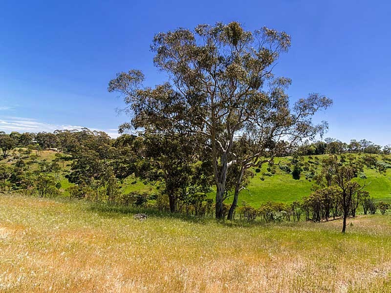 632 Cudlee Creek Rd, Lobethal SA 5241