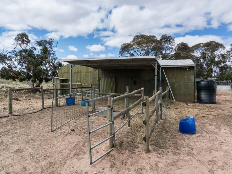 254 Garwood Road, Monarto SA 5254