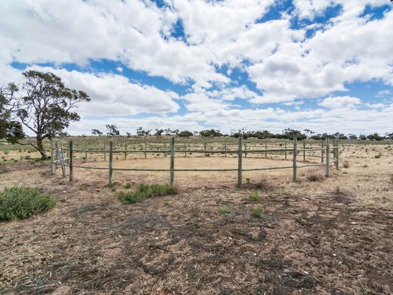 254 Garwood Road, Monarto SA 5254