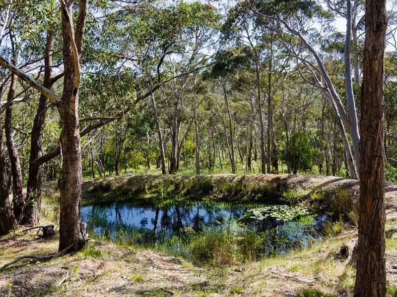 8 Hillview Street, Crafers West SA 5152