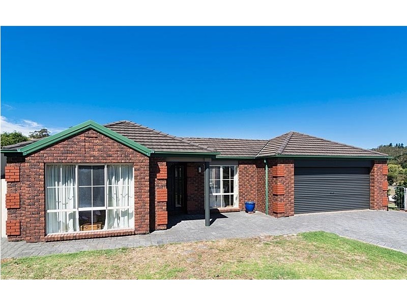 43 Michelmore Drive, Meadows SA 5201