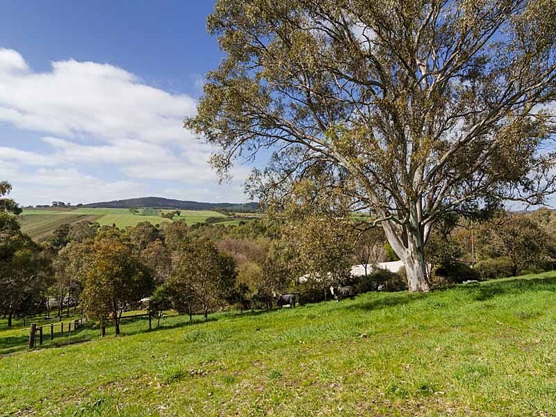 260 Bald Hills Road, Mount Barker SA 5251
