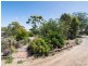 4138 Old Princes Highway, Monarto SA 5254