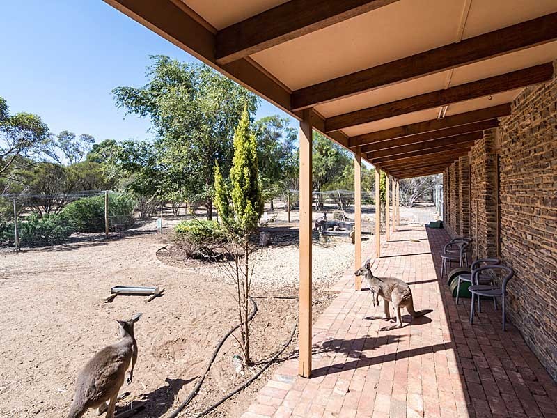 4138 Old Princes Highway, Monarto SA 5254