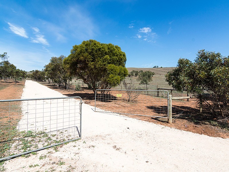 56 Hollamby Road, Callington SA 5254