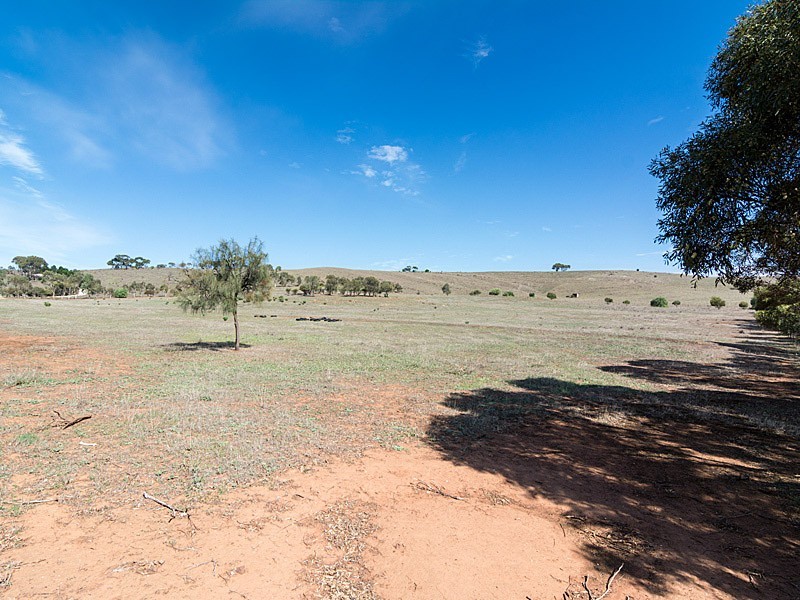 56 Hollamby Road, Callington SA 5254
