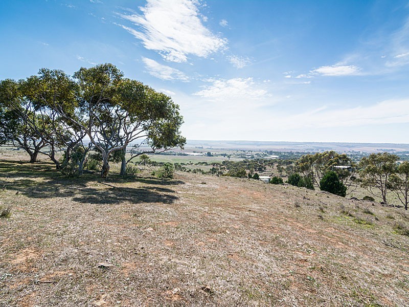 56 Hollamby Road, Callington SA 5254