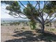 56 Hollamby Road, Callington SA 5254