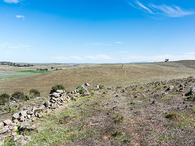 56 Hollamby Road, Callington SA 5254