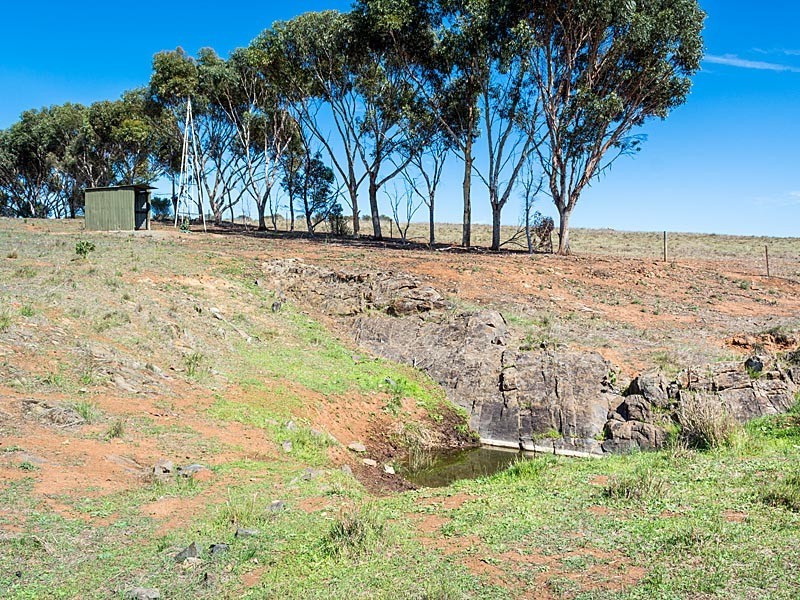 56 Hollamby Road, Callington SA 5254