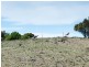 56 Hollamby Road, Callington SA 5254