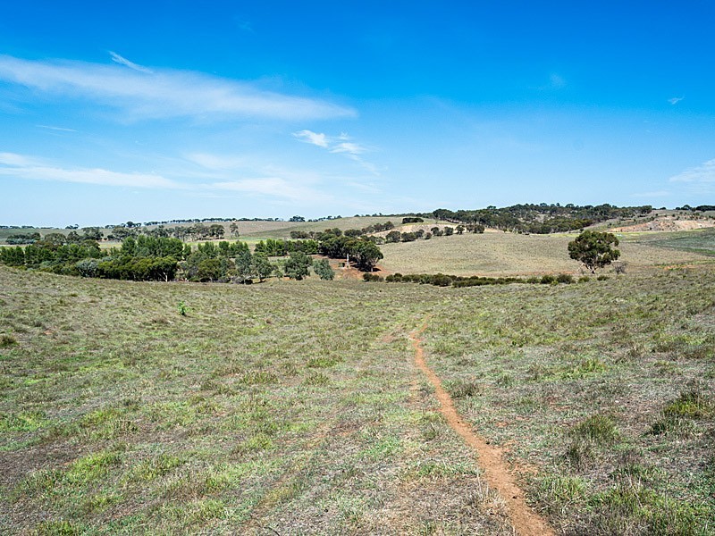 56 Hollamby Road, Callington SA 5254