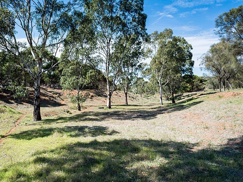 56 Hollamby Road, Callington SA 5254