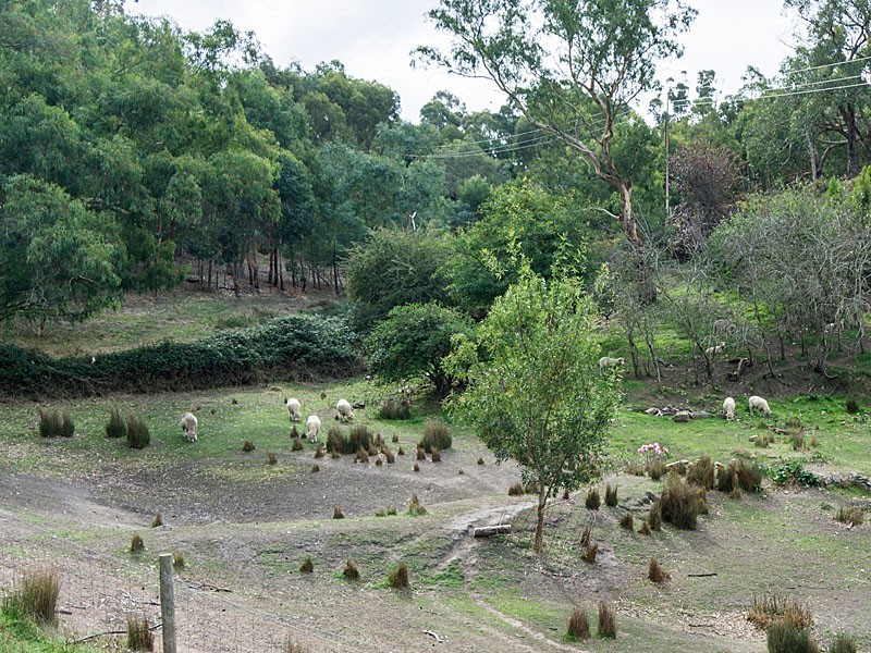 2335 Mount Barker Road, Hahndorf SA 5245