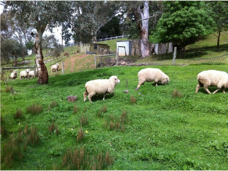 2335 Mount Barker Road, Hahndorf SA 5245