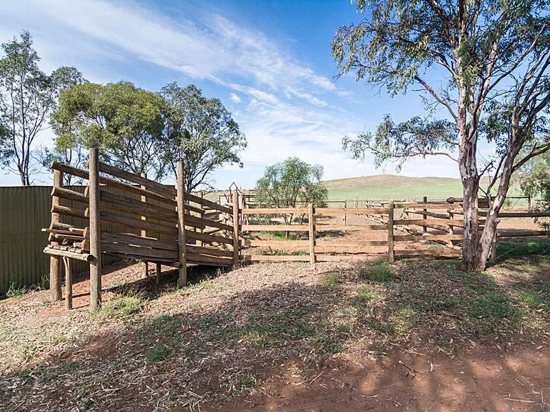 1090 Back Callington Road, Callington SA 5254