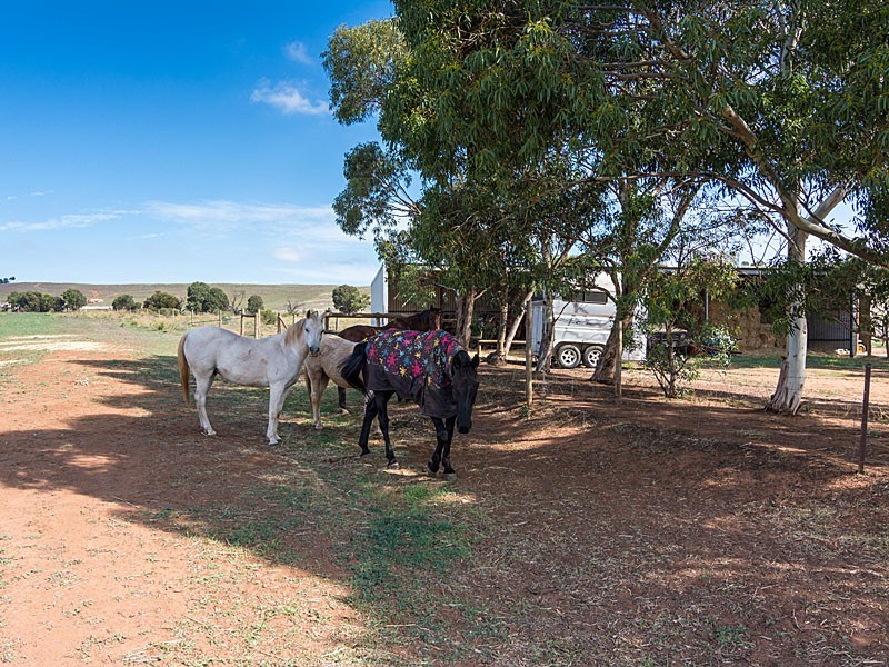 1090 Back Callington Road, Callington SA 5254