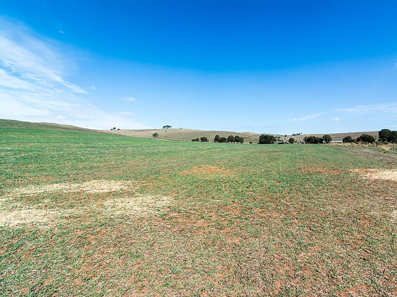 1090 Back Callington Road, Callington SA 5254