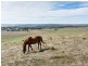 1090 Back Callington Road, Callington SA 5254