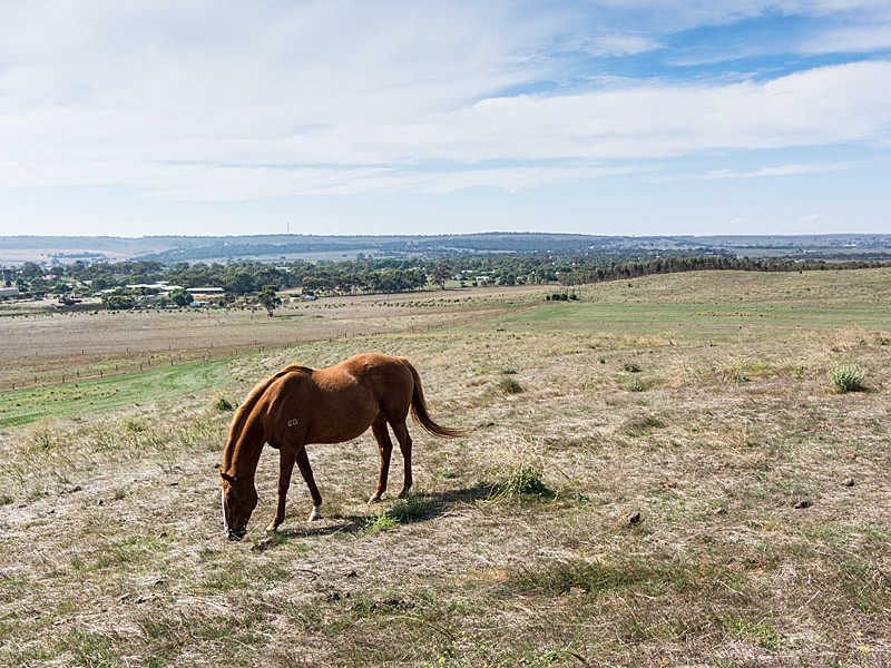 1090 Back Callington Road, Callington SA 5254