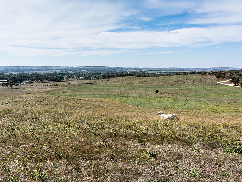 1090 Back Callington Road, Callington SA 5254