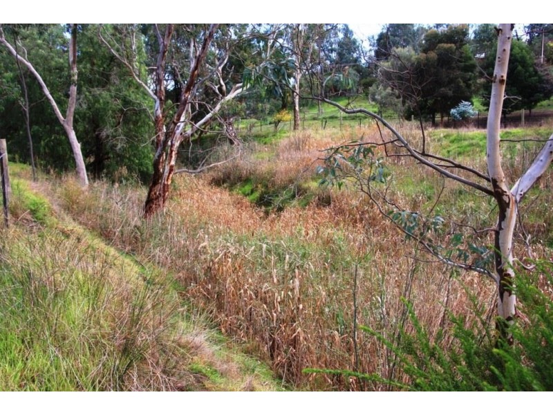 9 Church Road, Harrogate SA 5244