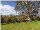 260 Bald Hills Road, Mount Barker SA 5251