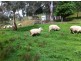 2335 Mount Barker Road, Totness SA 5250