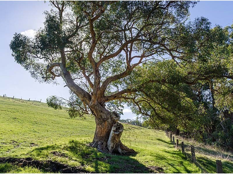 Lot 25 Totness Road, Hahndorf SA 5245