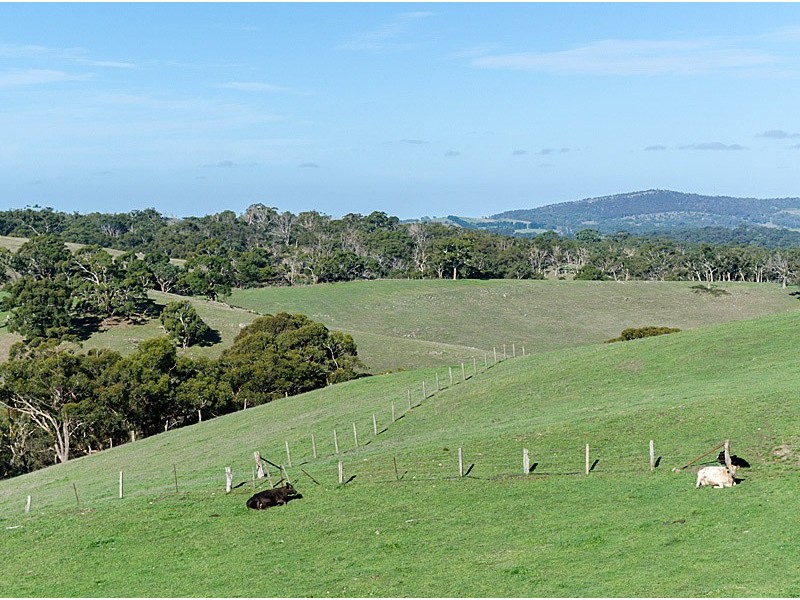 Lot 25 Totness Road, Hahndorf SA 5245