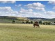 2 Steele Road, Callington SA 5254