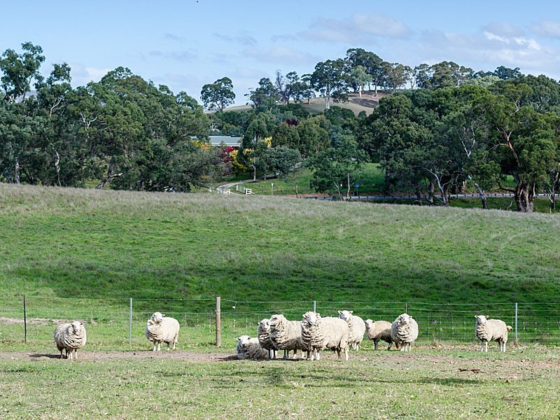 31 Winton Road, Birdwood SA 5234