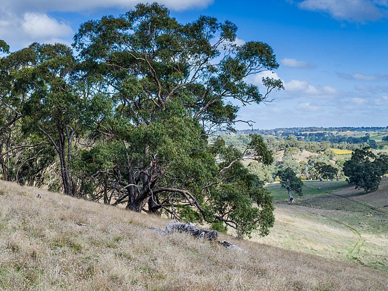 31 Winton Road, Birdwood SA 5234