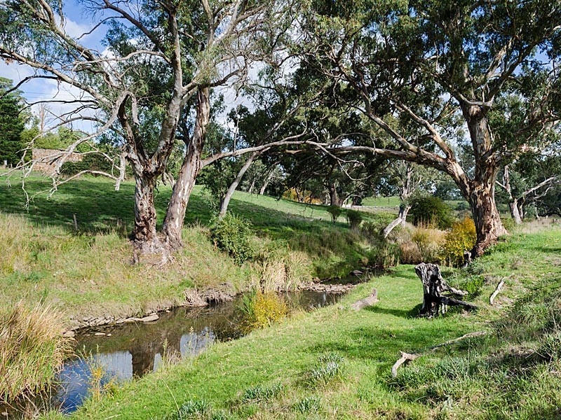 31 Winton Road, Birdwood SA 5234